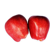 High quality good delicious huaniu apple to india